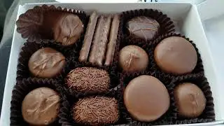 2/28/20. Sees Candies unboxing.  Half a pound of chocolates for Campbell!