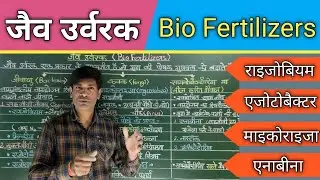 Bio Fertilizers. जैव‌ उर्वरक। राइजोबियम, एजोटोबैक्टर, माइकोराइजा, एनाबीना।