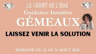 ✨G&Eacute;MEAUX ♊️ ~DU 25 AU 31 AO&Ucirc;T 2025 ~⭐️ La puret&eacute; d'intention est la clef du succ&egrave;s