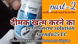 दीमक/termite खत्म करने का permanent solution-Agenda25 EC #termitecontrol #termites #termitetreatment