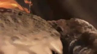 scream test