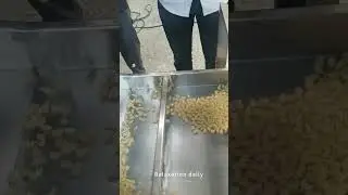 Spiral fried food production line #foodmachine #machine #factory #foodprocessingequipment #snackfood