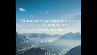 Entre Roc et Estang- For&ecirc;t de Sao&ucirc; 💗🌳💗