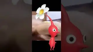 Pikmin Dog #nintendo #nintendoswitch #pikmin #pikmin4 #videogames #subscribe #like #comedy