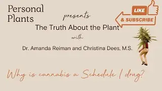 The Truth About the Plant: Why is cannabis a Schedule I drug?