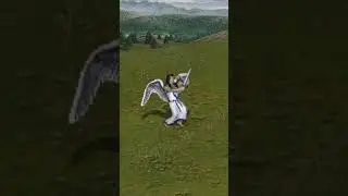 Heroes of Might and Magic 3- Castle and Rampart troops' blocking animations #heroesofmightandmagic