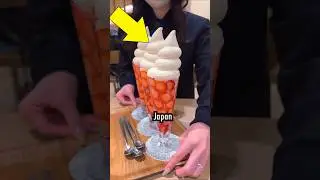 3 Reasons Why Japan is Already Living in the Year 2500 😳✨