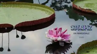 136.1 Hz OM Frequency | Cosmic Healing Sound of the Universe | Relax & Rebalance