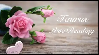 Taurus Love Reading | Wow! Love is here! | August 2020