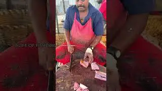 KASIMEDU🔥SPEEDSELVAM TREVALLY FISH CUTTING VIDEO#speedselvamcutting #kasimeduspeedselvam #ytshorts