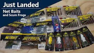 Just Landed: Net Baits and Scum Frogs
