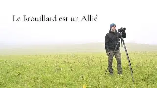 Photo de paysage dans le Brouillard