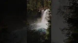 Oregon in the spring is truly something to see. Experience Blue Pool, Koosah Falls, and the McKenzie