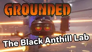 Grounded: Navigating the Black Anthill Lab