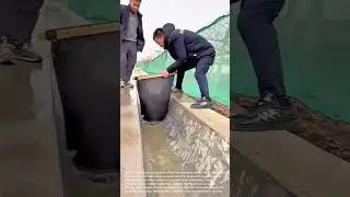 Innovative Water Management: Using Boards and Liners to Control Water Flow in Irrigation Ditches