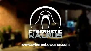 Cybernetic Walrus - Our Services