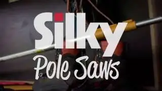 PERCHES SILKY