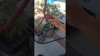 How to Tie The Anchor Hitch Termination Knot