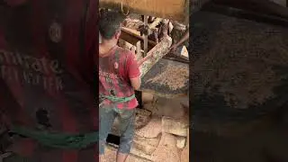 Turning Logs into Lumber Precision Techniques of Expert Sawmill Operators