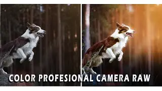 Professional color in your photos with Photoshop and Camera Raw