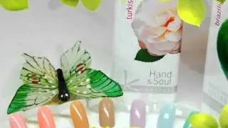 Zhepyr SolarGel Kinetics