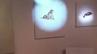 Paintography