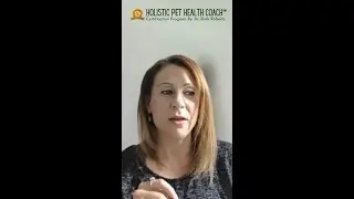 The #1 Game-Changer for Pet HealthWhy EVERY Pet Parent  Pro Needs This #shorts