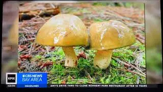 KPIX CBS News Bay Area &ldquo;Late News&rdquo; open January 8, 2026
