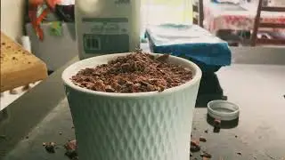 Making feastables hot chocolate