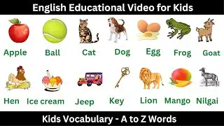 Vocabulary Words - A-Z Vocabulary Words with Pictures - English Educational Video for Kids