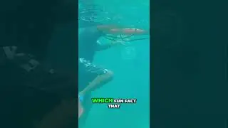 Snorkeling  with Jellyfish, Don't Touch The Underside!