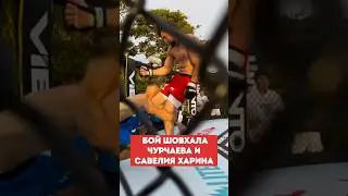 БОЙ Шовхала Чурчаева и Савелия Харина на Реалити !