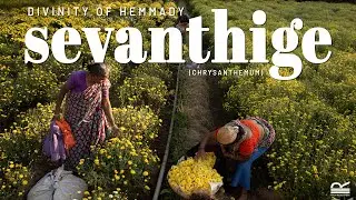 Why is Hemmady's Sevanthige considered special? | Stories That Matter