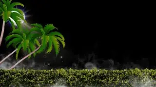 Beautiful Palm Tree Effect Black Screen Video With Moonlight Effect And Smoke Background Video 