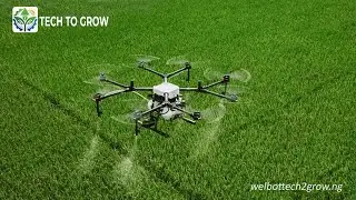 Fertilizer application on our rice fields using advanced drone technology