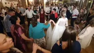 🥁 🥁Formatie nunta #Italia #Romania Sarbe nunta 2022 Roxana Olaru si Formatia Elit Torino 3804322660