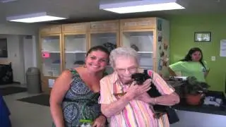 Just One Day - Kern County Animal Services Adoption Event 06/11/2014