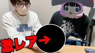 ディズニーに行く直前のかんとくのかばんの中身抜き打ちチェックしてみた