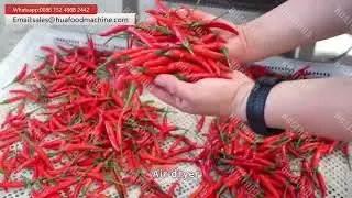 Automatic Chilli Powder Production Processing Line Test In Factory