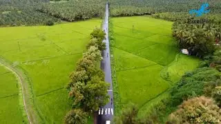 🌴Pollachi to anamali location 🌳 || WhatsAppstatus || 30 sec HD ||
