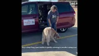 Arrival Skills