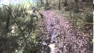 ballade enduro moto (cauneille)  ktm gasgas