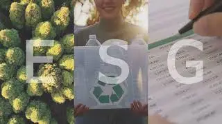 The Fundamentals of ESG - An Essential Guide
