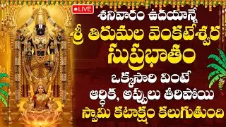 LIVE: శనివారం ఉదయాన్నే వెంకటేశ్వర సుప్రభాతం విన్నారంటే చూడనంత డబ్బు చూస్తారు | Tirumala Suprabhatham