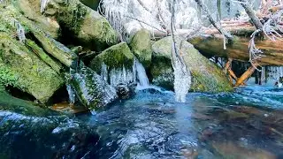 Frozen Stream in Winter Forest Sounds | Nature White Noise