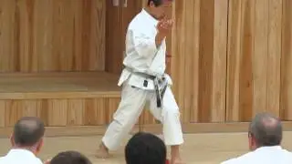 Kagawa-sensei explains 2 parts of kata Heian Nidan #heiannidan #kata #shotokan #karate #空手道