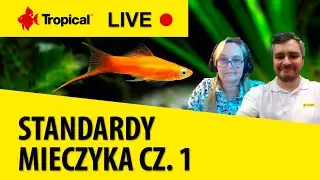 TROPICAL LIVE | Standardy mieczyka/Swordtails Standards cz. 1 - Elżbieta Cywińska (ENG SUB)