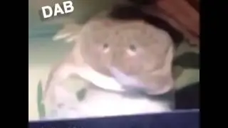 Frog dab (earrape)
