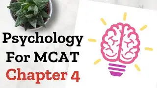 (MCAT High Yield Psych/Soc Audiobook) Chapter 4: Mindset and Intelligence