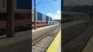 tren UT440-101 y tren sfe estacionados en estaci&oacute;n Hualqui